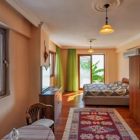 Ozgen Villa