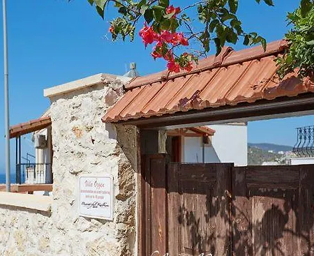 Ozgen * Kalkan
